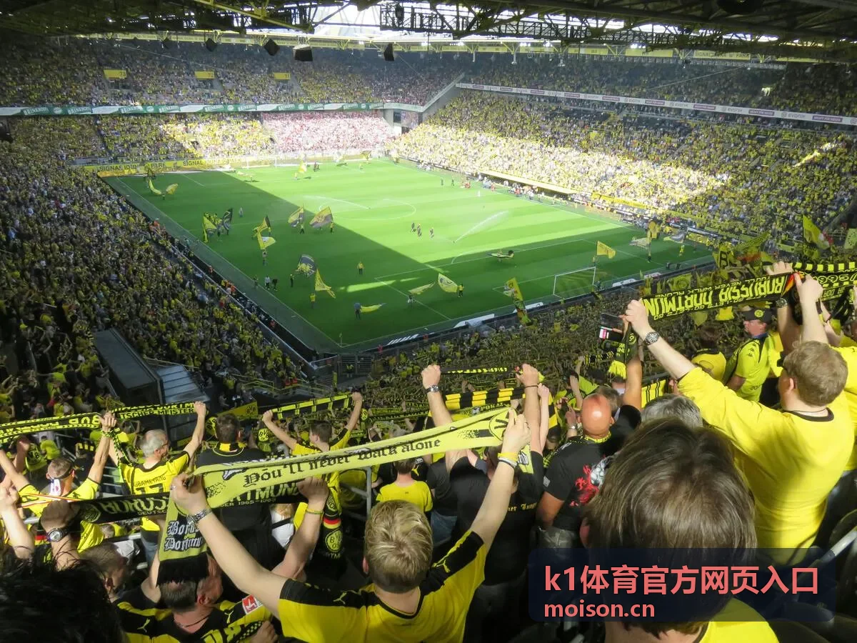 K1体育官方网页入口条目在手机端排版异常的排查说明配图